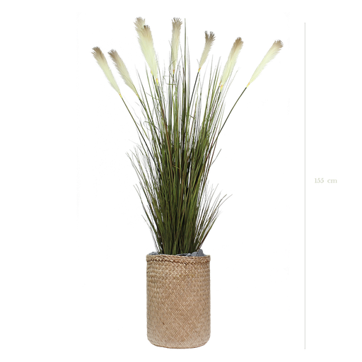 [A-TG1-TR2] La Pampa 155 cm - Pot Tressé - Artificiel