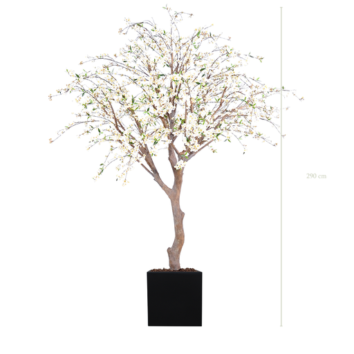 [A-AB4-FB11] Le Cerisier 290 - Cube Noir - Semi-naturel