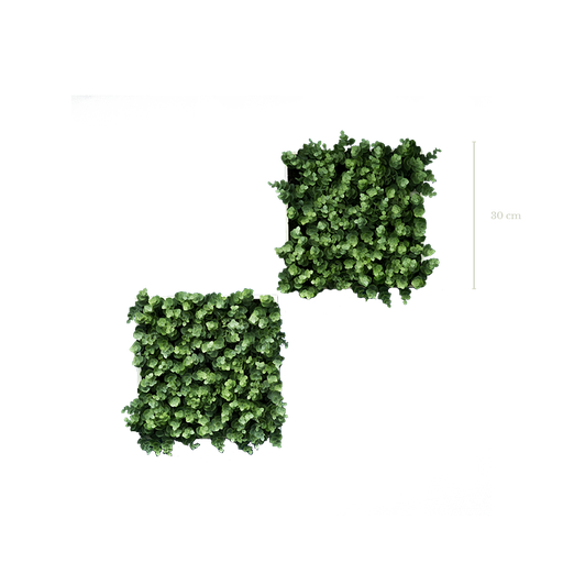 [A-MS3] Lot de 2 cadres eucalyptus - Artificiel
