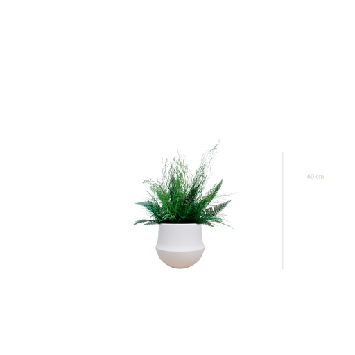 [S-TG10-CE1] La Forêt - Pot Rond Blanc - Stabilisé