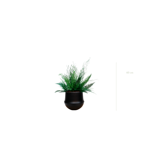 [S-TG10-CE9] La Forêt - Pot Rond Noir - Stabilisé