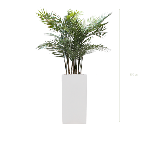 [AE-PT1-FB20] L'Areca - Cube Haut Blanc - Extérieur - Artificiel